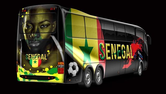 Afrika Cup Wett-Tipps Finale Senegal Algerien